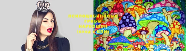 ГАЛЛЮЦИНОГЕННЫЕ ГРИБЫ Нефтекумск