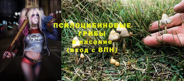 2c-b Нефтегорск