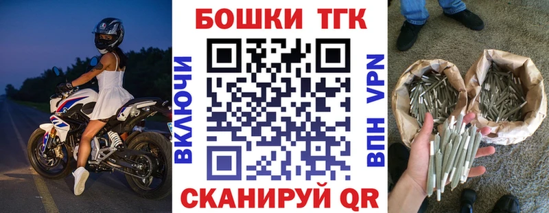 Конопля сатива  Советск 